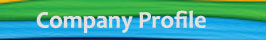 company profile